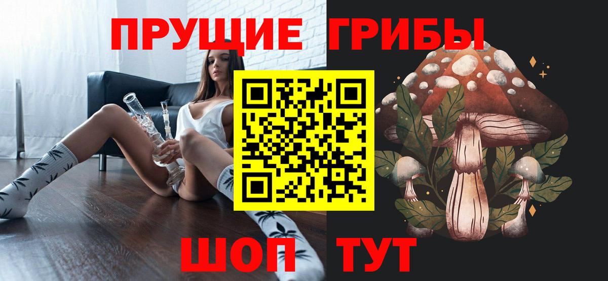 Псилоцибиновые грибы Cubensis Усть-Лабинск